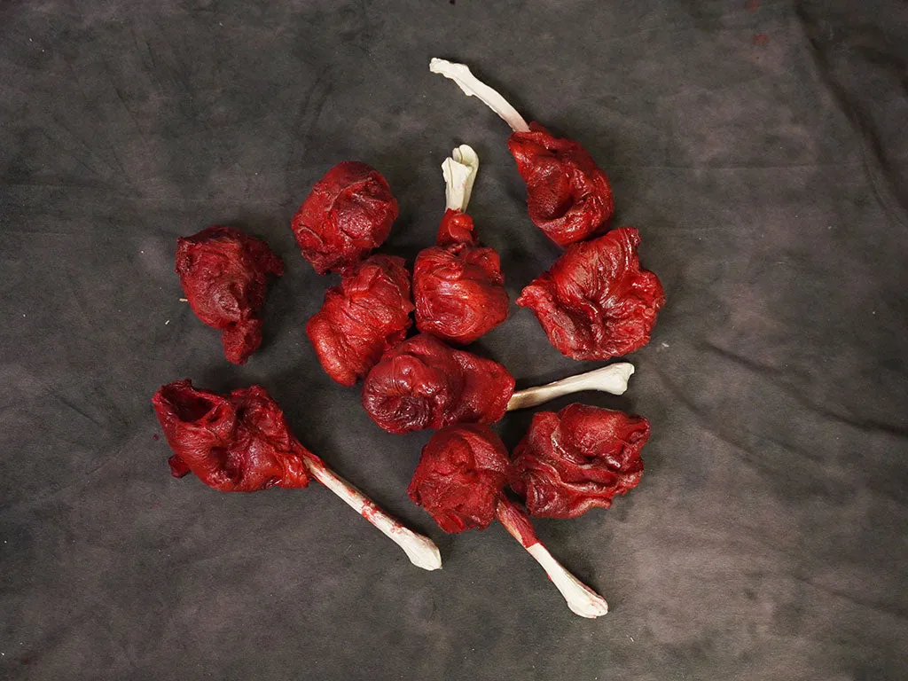 10 Pcs Assorted Meat Bones and Mutilation Chunks
