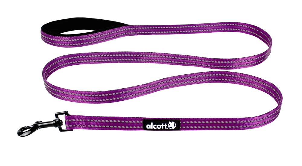 Adventure Leashes