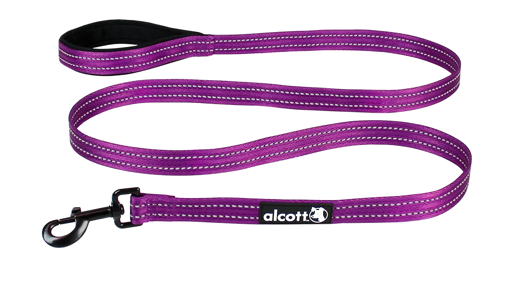 Adventure Leashes