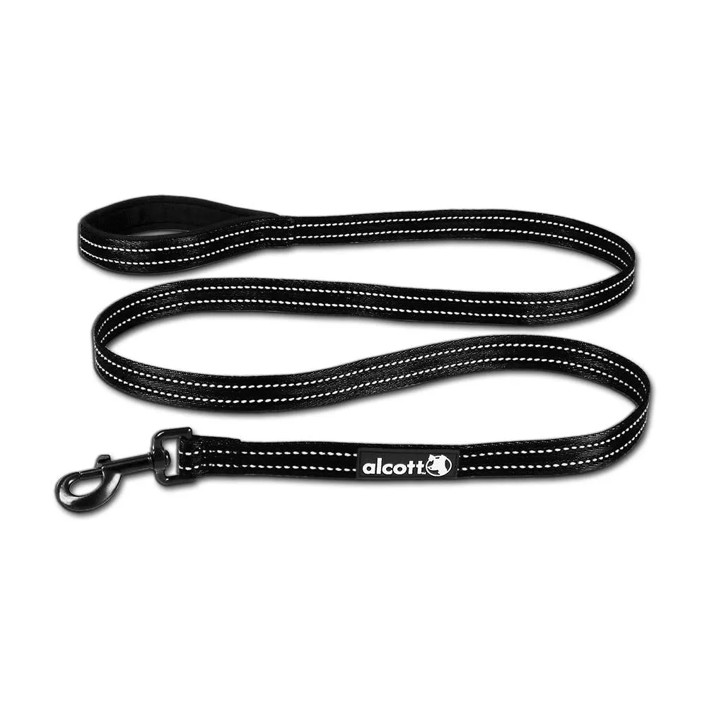 Adventure Leashes