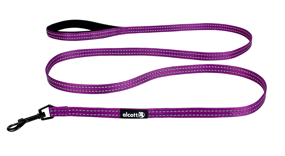 Adventure Leashes