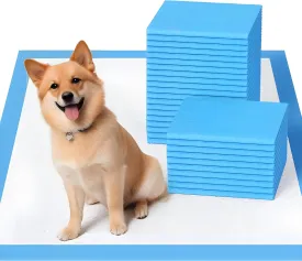 Aurora Pet Dog and Puppy Pee Pads with 5-Layer Leak-Proof Design and Quick-Dry Surface for Potty Training, Super Absorbency, Regular 18x24 Inch (100 Count)  Blue & White