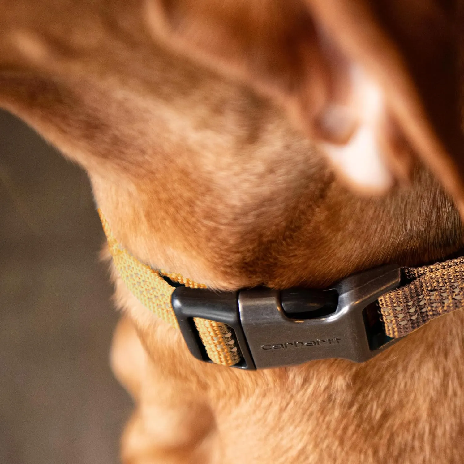 Carhartt Gear P0000343 Tradesman Collar - Medium - Coral Glow