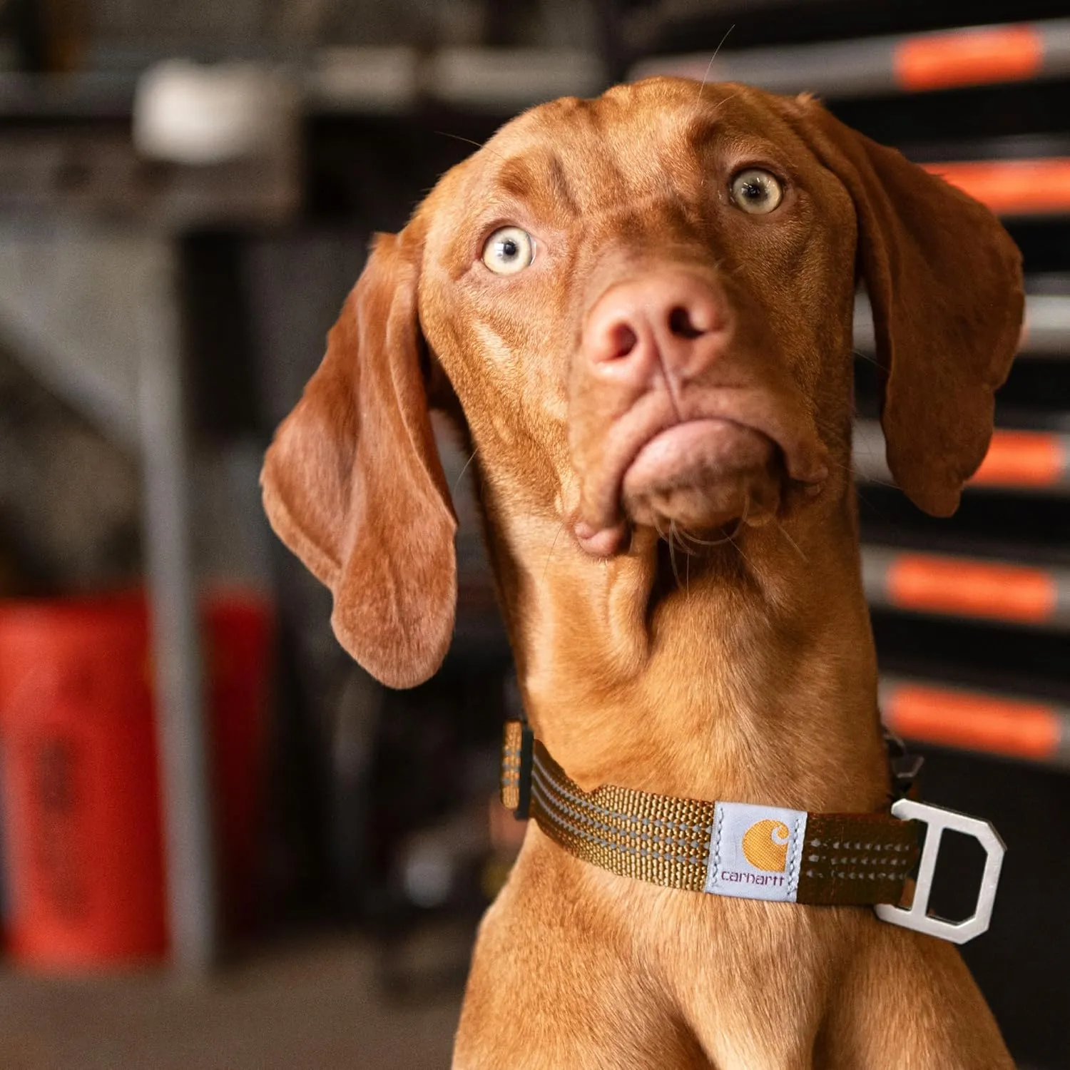 Carhartt Gear P0000343 Tradesman Collar - Medium - Coral Glow