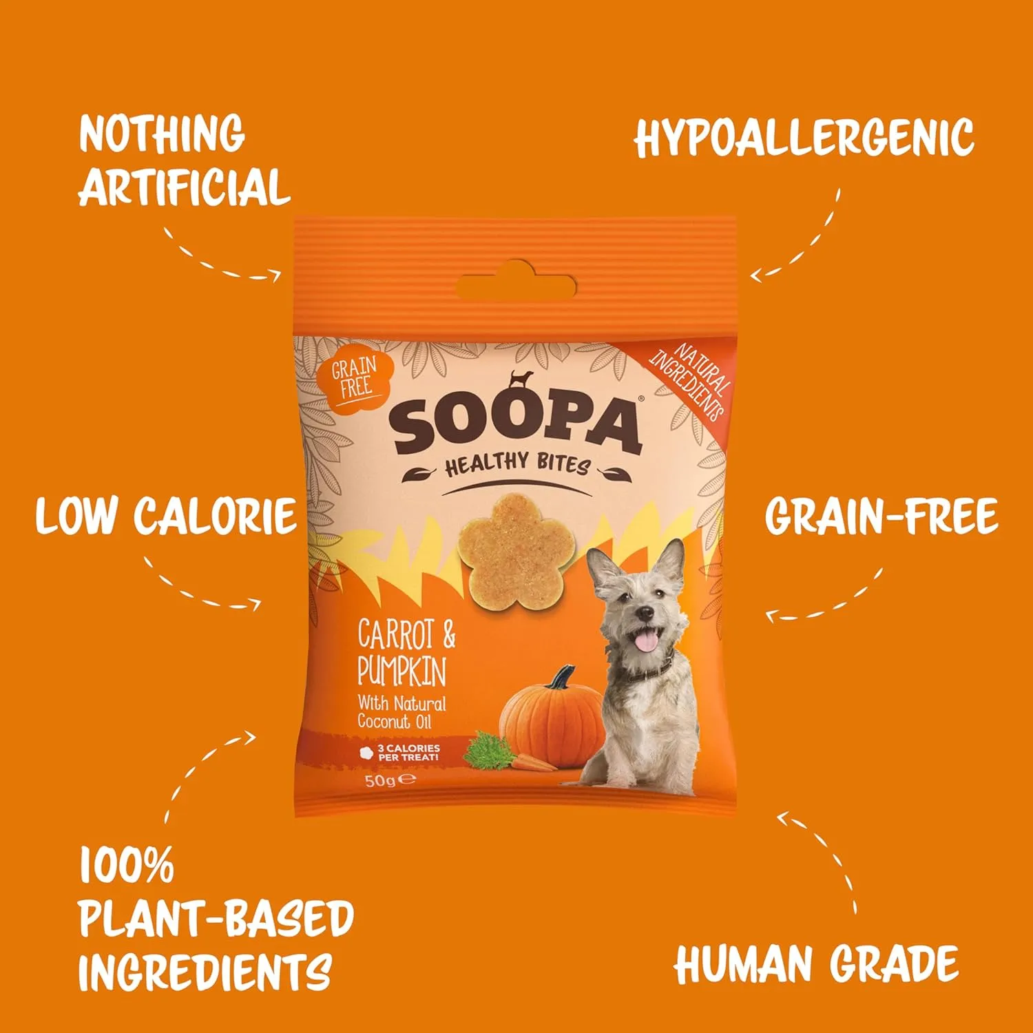 Carrot & Pumpkin Healthy Bites Dog Treats, 50g