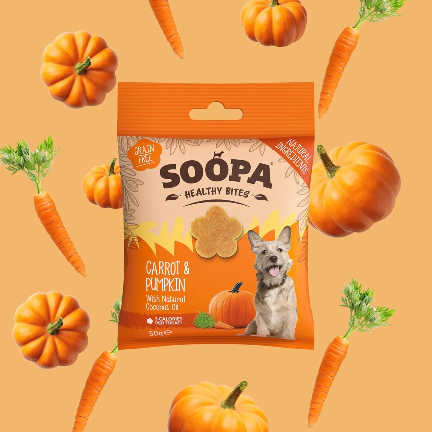 Carrot & Pumpkin Healthy Bites Dog Treats, 50g