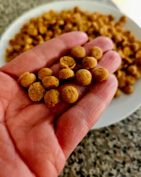 Cat Snacks - Tuna Tots