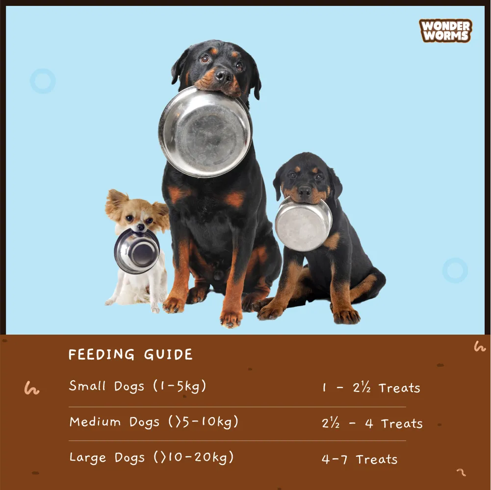 Chip Chops Wonder Worms Chicken Rings with Mealworm Dog Treats (Buy 1 Get 1) (Limited Shelf Life)