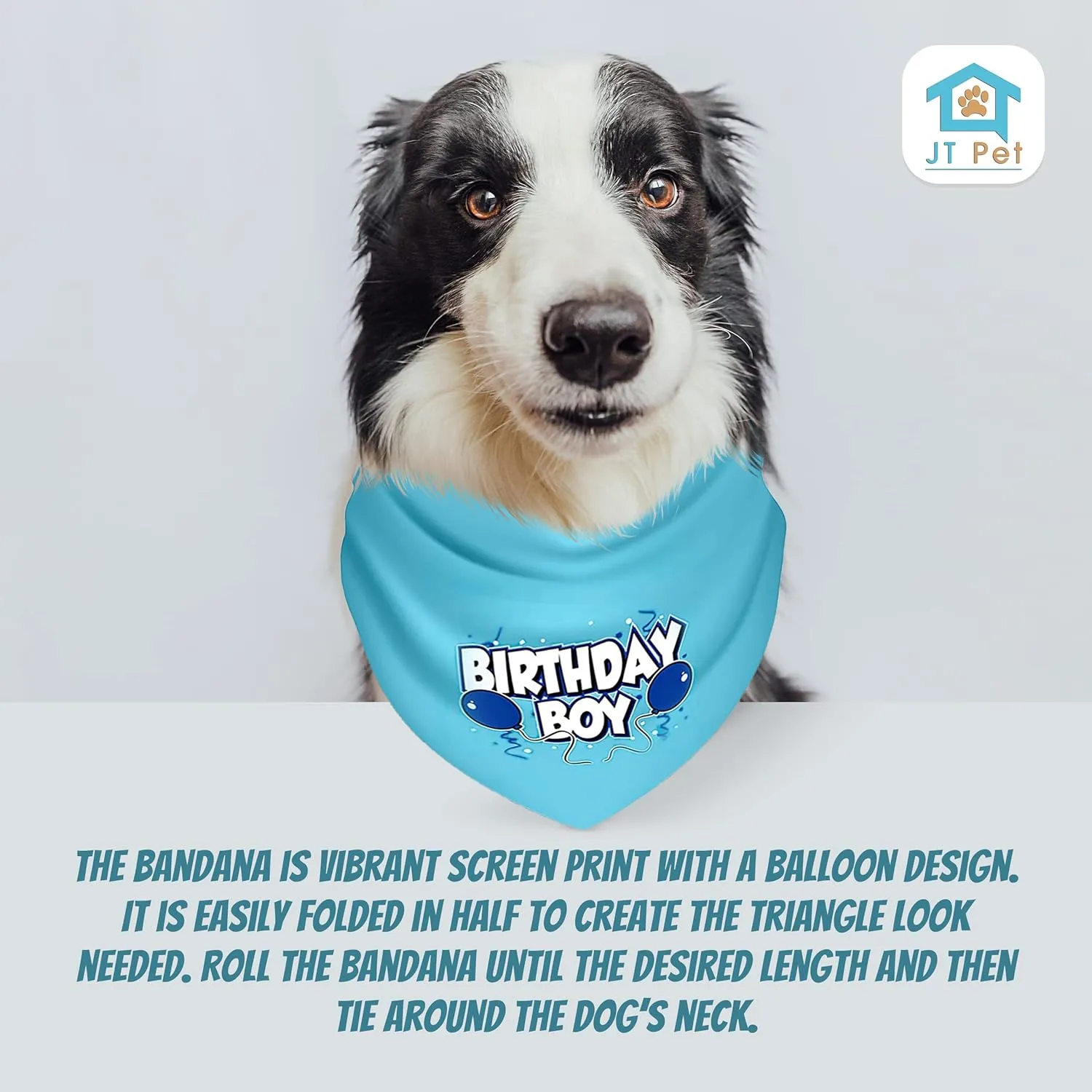 Dog Birthday Boy Party Pack with Bandana, Star Spangled Party Hat with Adjustable Elastic, Tassels and Feathery Trim, and Vegan Birthday Bone, Small