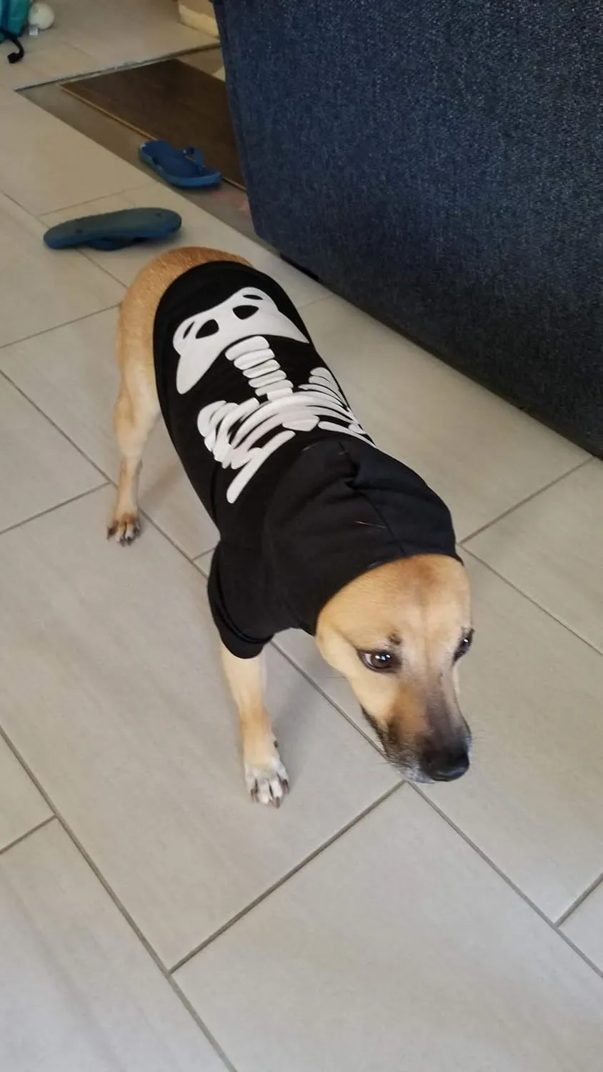 Dog Cat Halloween Skeleton Hoodies Glowing Skull Cute Shirt Puppy Kitteen Costumes Bones Clothes (XL)