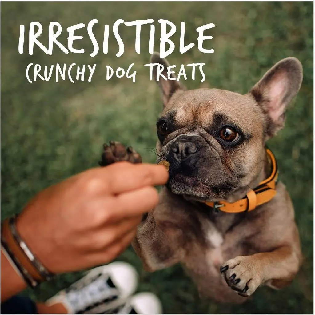Fruitables Skinny Minis Rotisserie Chicken Flavor Chewy Dog Treats (5 oz)