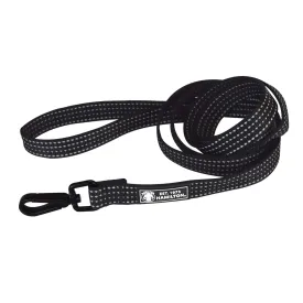 Hamilton - Reflective Nylon Leash