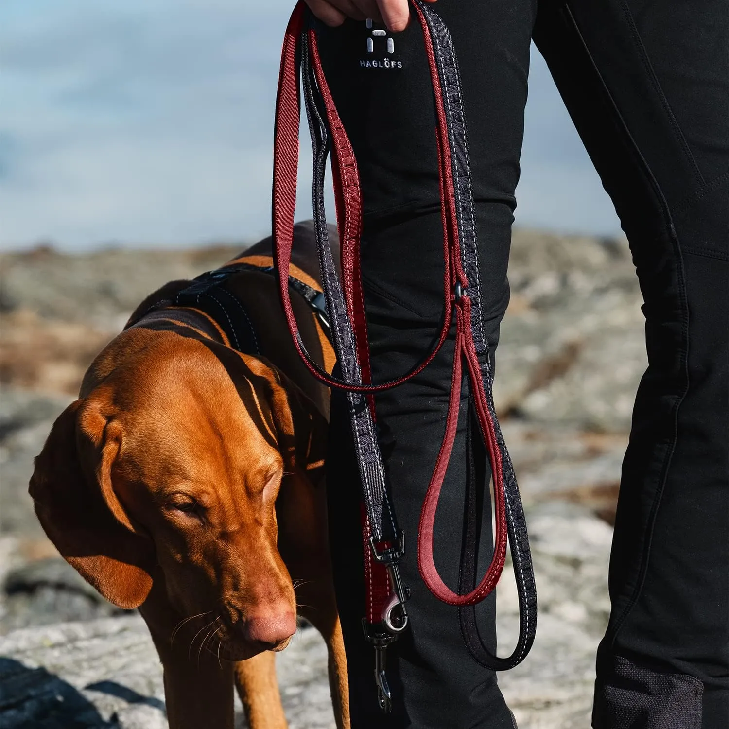 Hurtta Casual Reflective Leash Eco