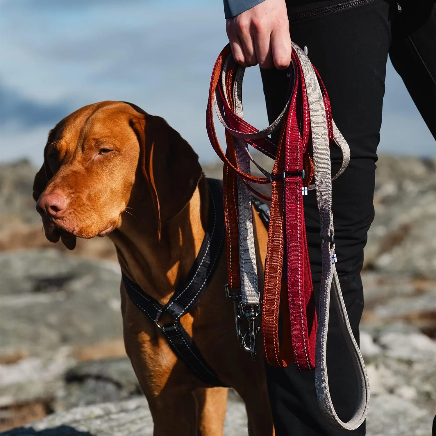 Hurtta Casual Reflective Leash Eco