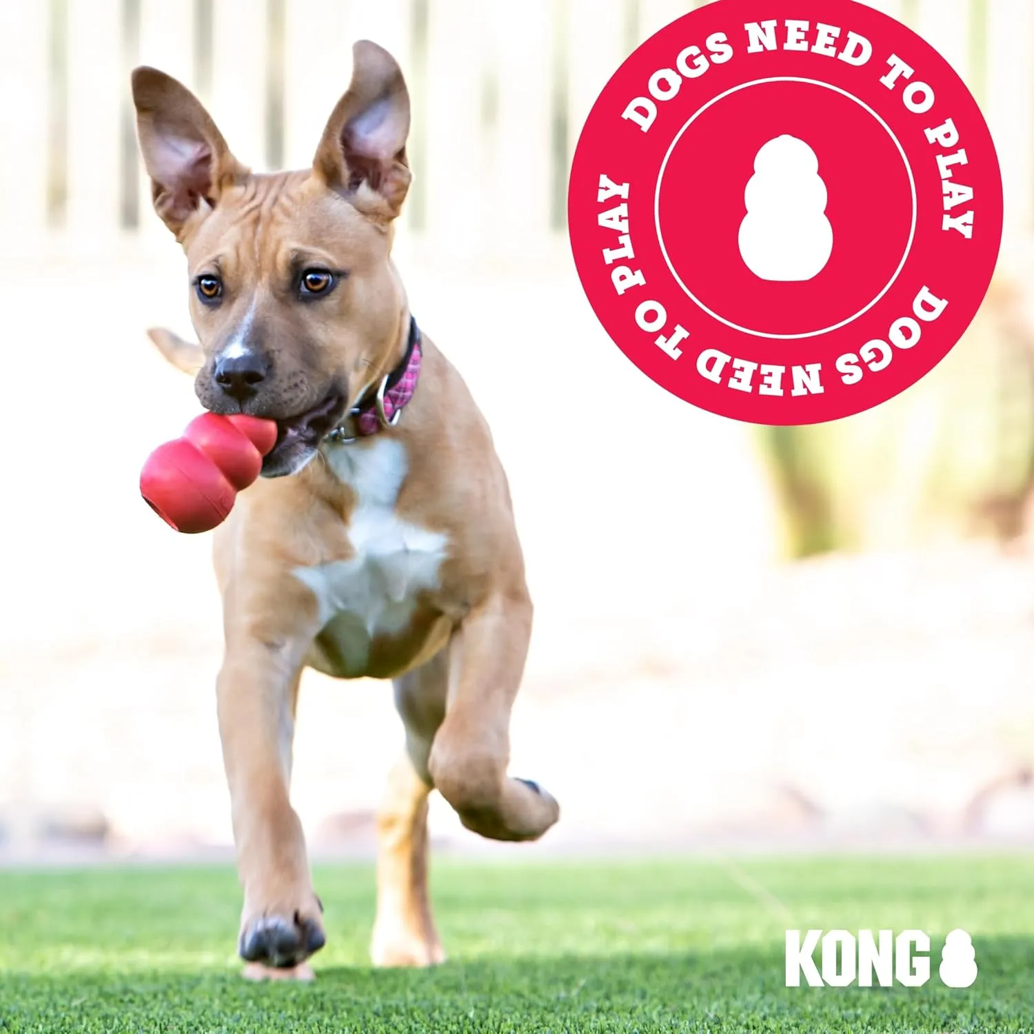 KONG Puppy Binkie - Pacifier Dog Toy for Puppies - Stuffable Treat Chew Toy for Treats - Durable Natural Rubber for Teething Puppy - for Medium Puppies - Pink