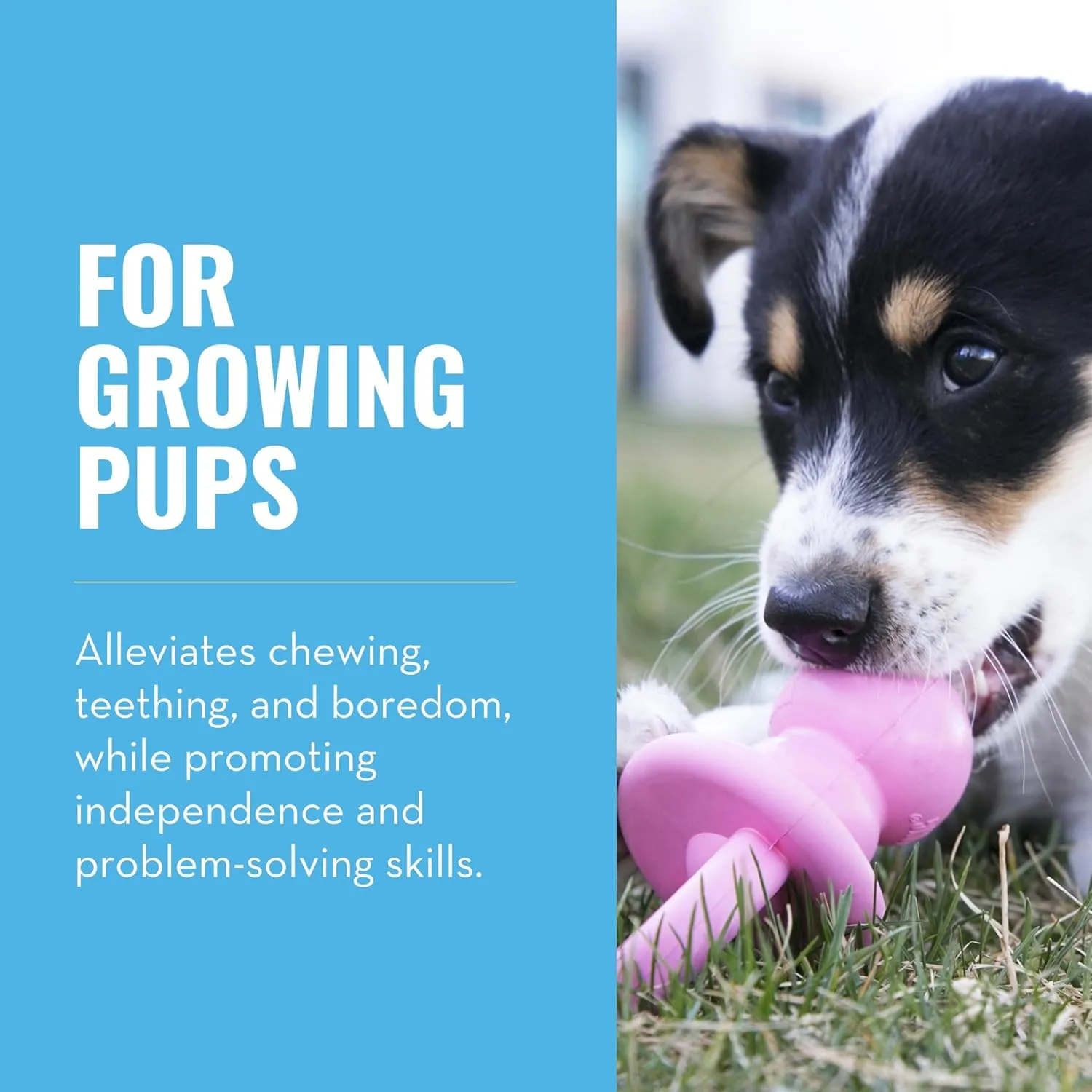 KONG Puppy Binkie - Pacifier Dog Toy for Puppies - Stuffable Treat Chew Toy for Treats - Durable Natural Rubber for Teething Puppy - for Medium Puppies - Pink