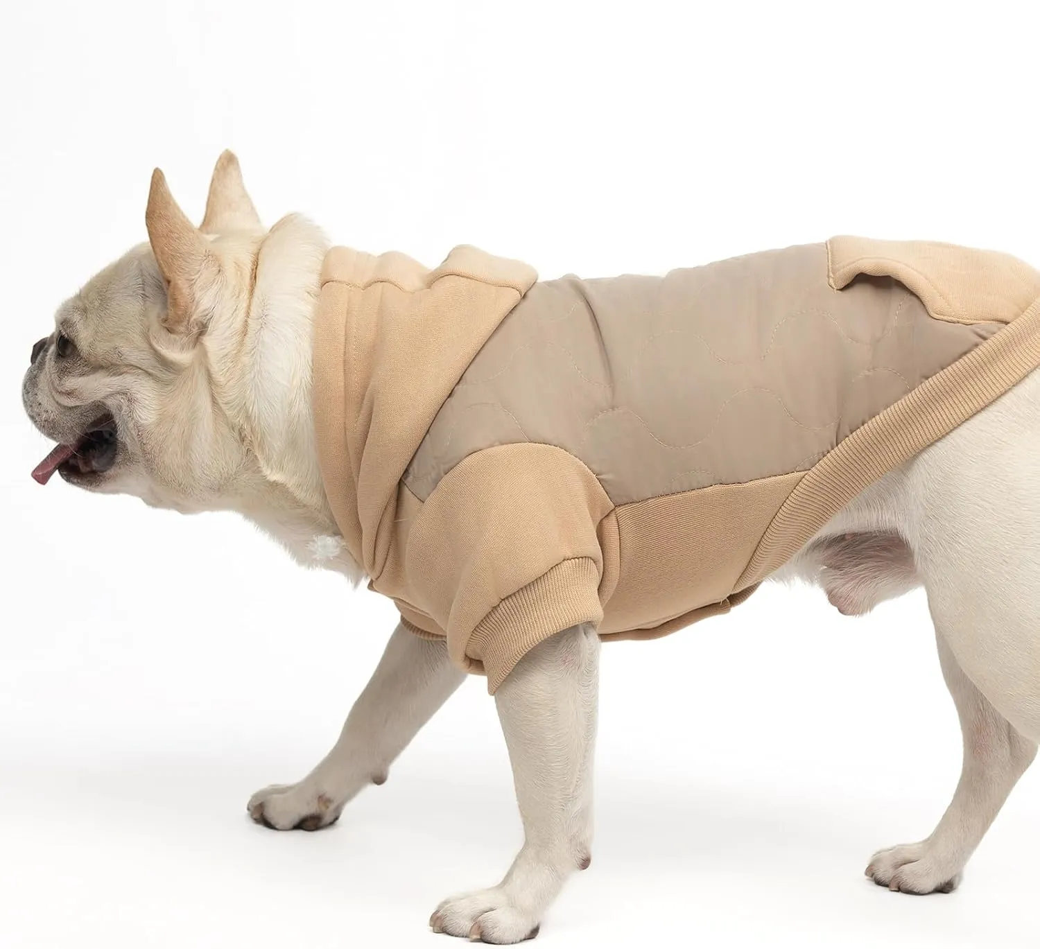 KOOLTAIL Warm Winter Coat for Small Dogs, Waterproof Jacket With Leash Hole, Cold Weather Vest, Soft Pet Hoodie Sweater Clothes for Puppy Cats Girls Boys Beige L