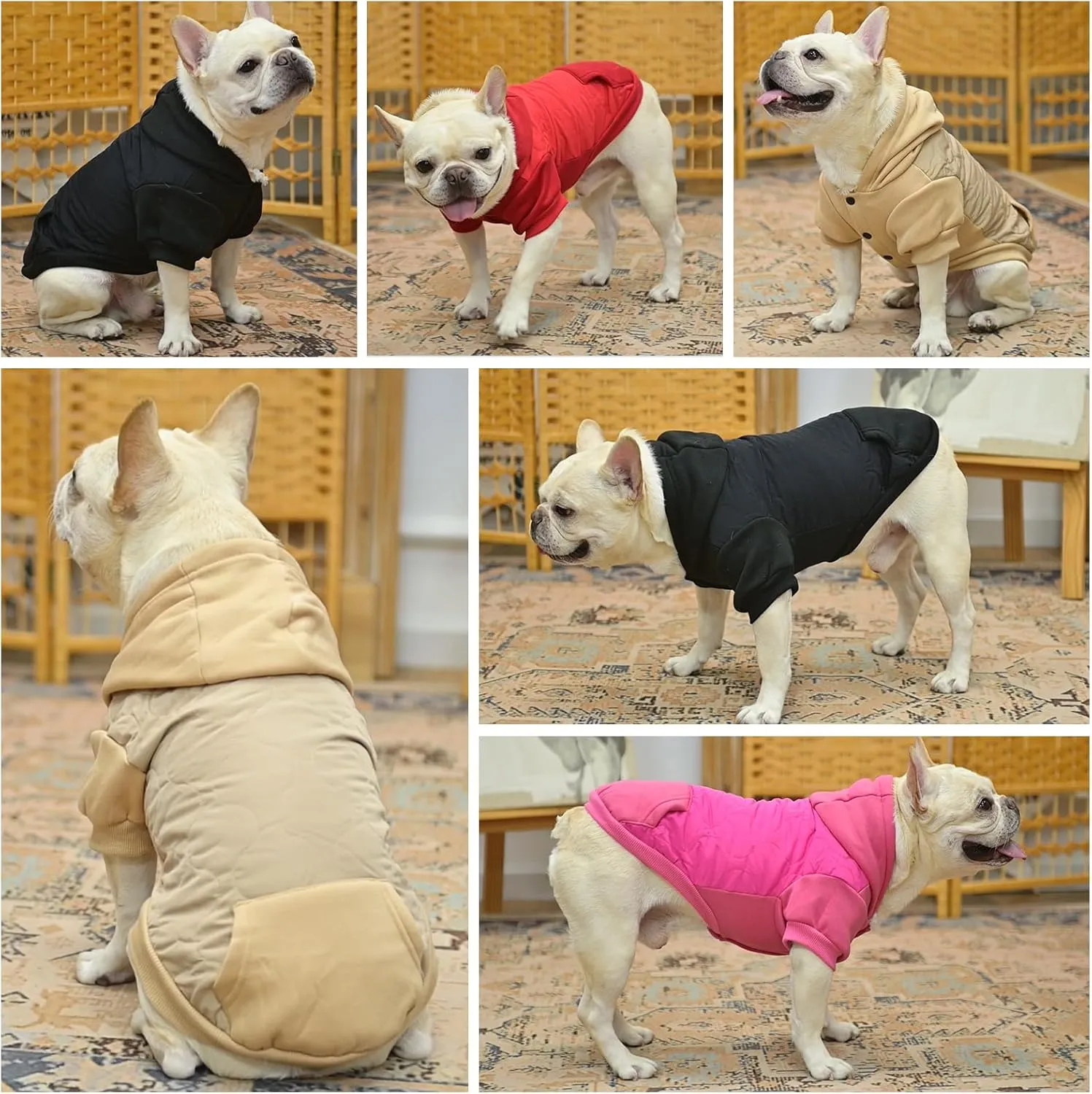 KOOLTAIL Warm Winter Coat for Small Dogs, Waterproof Jacket With Leash Hole, Cold Weather Vest, Soft Pet Hoodie Sweater Clothes for Puppy Cats Girls Boys Beige L
