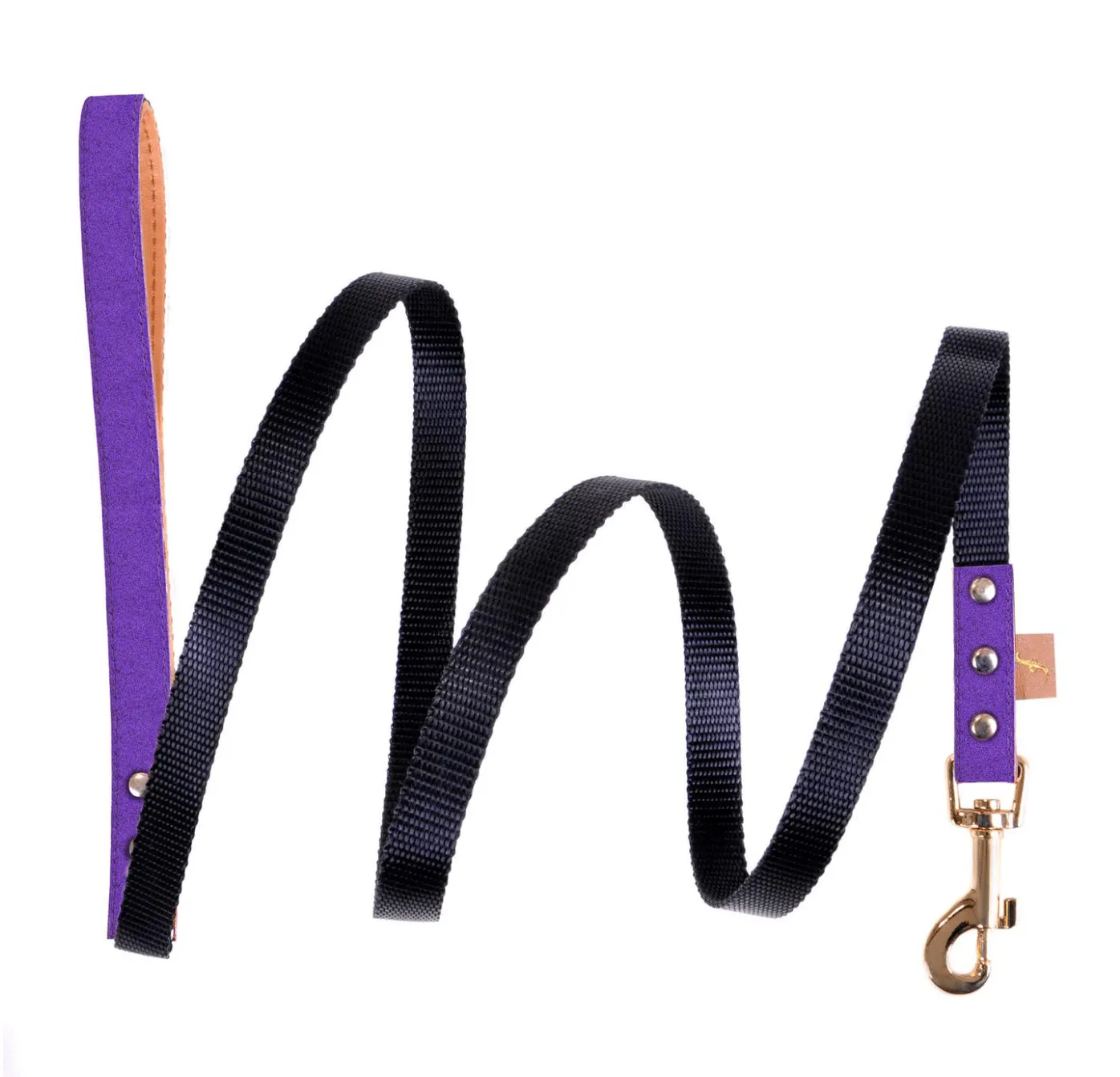 MATCHING FRENDSHIP LEASHES