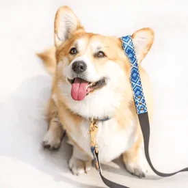 MATCHING FRENDSHIP LEASHES