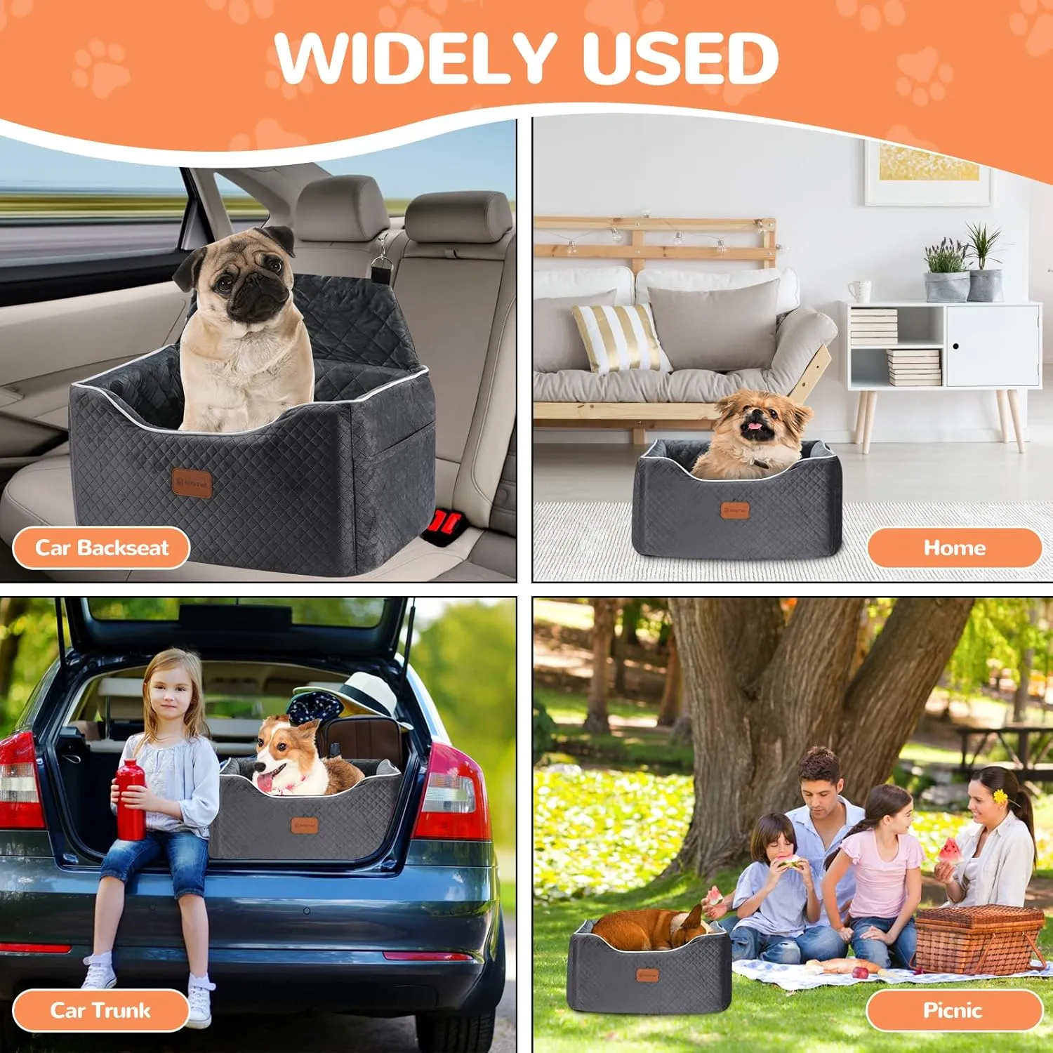 Memory Foam Booster Dog Car Seat for Medium Dogs Under 45 LBS, Elevated Pet Car Seat with Detachable Washable Cover, Anti-Slip Sturdy Dog Booster Seat with Seat Belt for Back Seat Travel