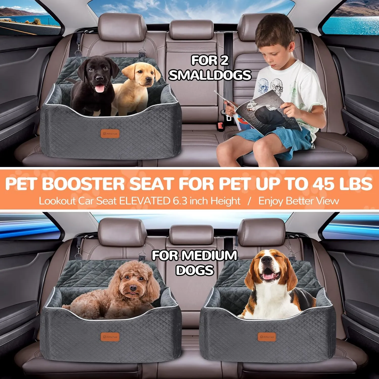 Memory Foam Booster Dog Car Seat for Medium Dogs Under 45 LBS, Elevated Pet Car Seat with Detachable Washable Cover, Anti-Slip Sturdy Dog Booster Seat with Seat Belt for Back Seat Travel