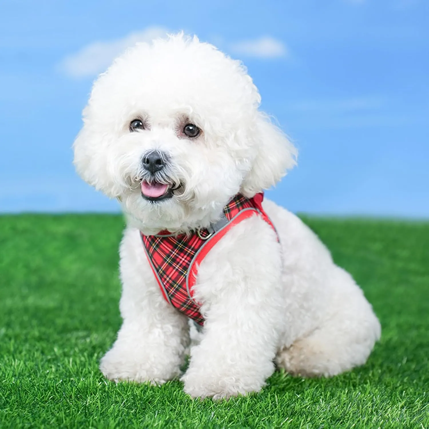 No Pull Dog Harness and Leash Set for Extra-Small Dogs Puppy Cats Ajustable Classic Plaid Dog Vest Harness Soft Mesh Reflective Step-in Harness Escape Proof for Walking Red XXS
