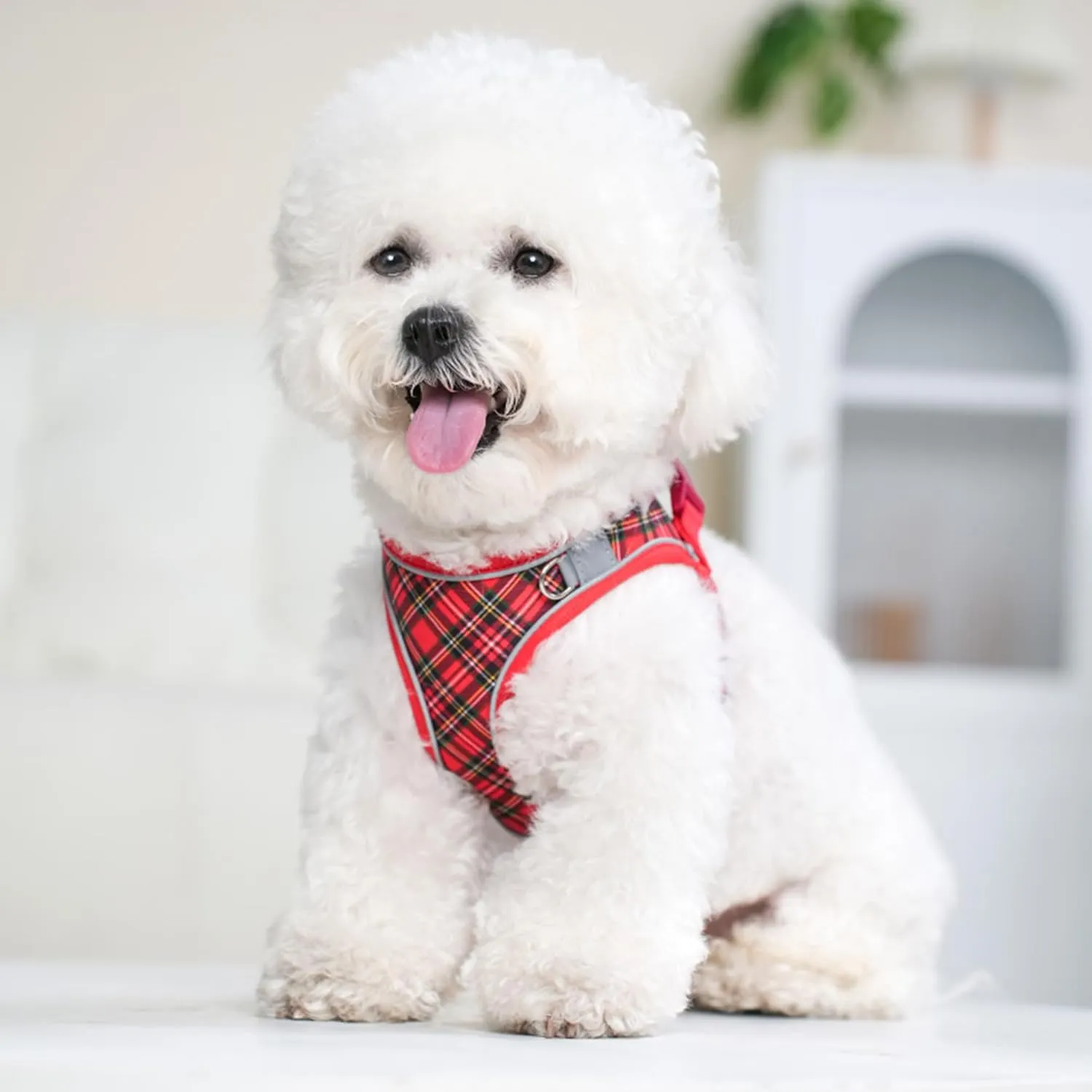 No Pull Dog Harness and Leash Set for Extra-Small Dogs Puppy Cats Ajustable Classic Plaid Dog Vest Harness Soft Mesh Reflective Step-in Harness Escape Proof for Walking Red XXS