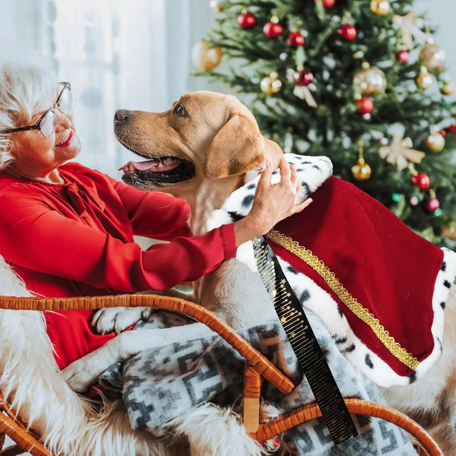 Pet Cloak King Dog Cape Robe Cute Halloween Christmas Cat Costume Queen Clothes Lux Fur Royal Cape Prince Princess Outfit Birthday Dress Small Large Dog Halloween Costume (Crimson, Large)