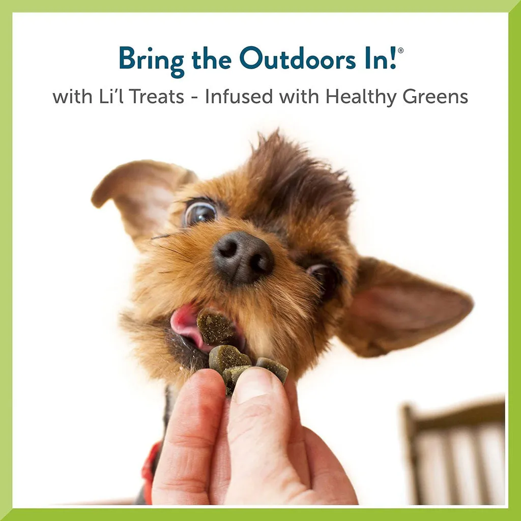 Pet Greens Li'l Treats Lamb Soft Mini Dog Treats, 6-oz