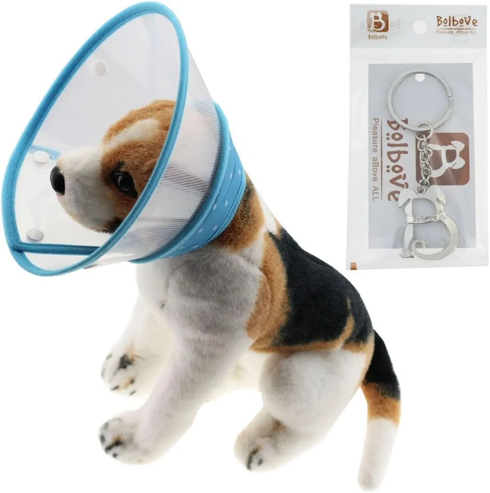 Pet Plastic Clear Cone Recovery E-Collar with Dots Design Soft Edge for Small Dogs & Cats (Medium, Blue)