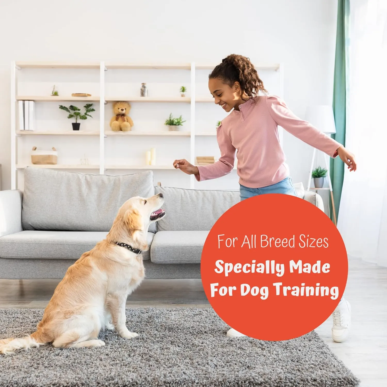 Premium 1lb Dog Jerky Treats | Dog Training | Dog Walking | Natural Grillers | Healthy Smoked Beef Chicken Salmon Chews Snacks Beef Cranberry Jerky