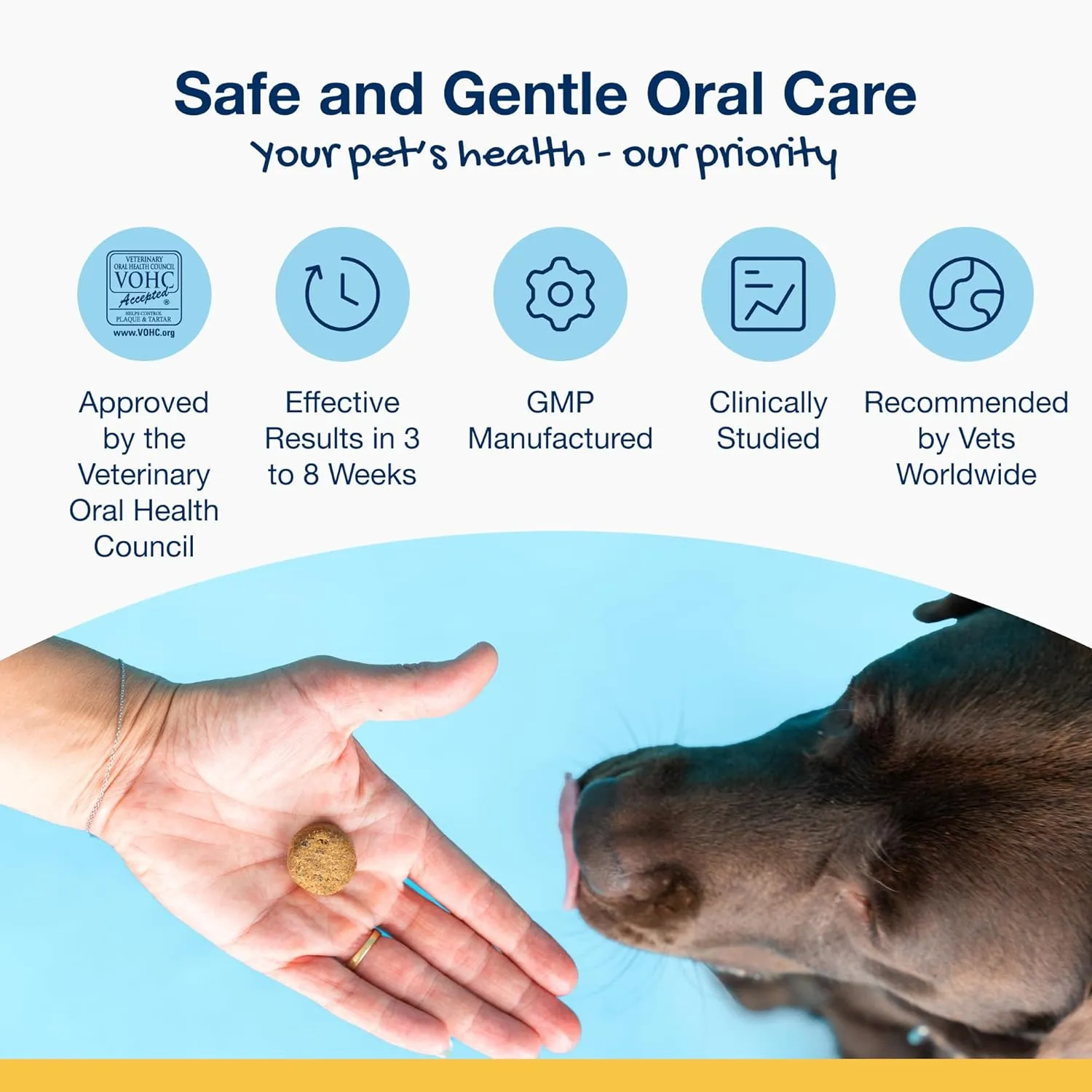 ProDen PlaqueOff Soft Chews with Organic Kelp - for Small & Medium Breed Dogs & Cats - Supports Normal, Healthy Teeth, Gums, and Breath Odor in Dogs & Cats - 45 Soft Chews