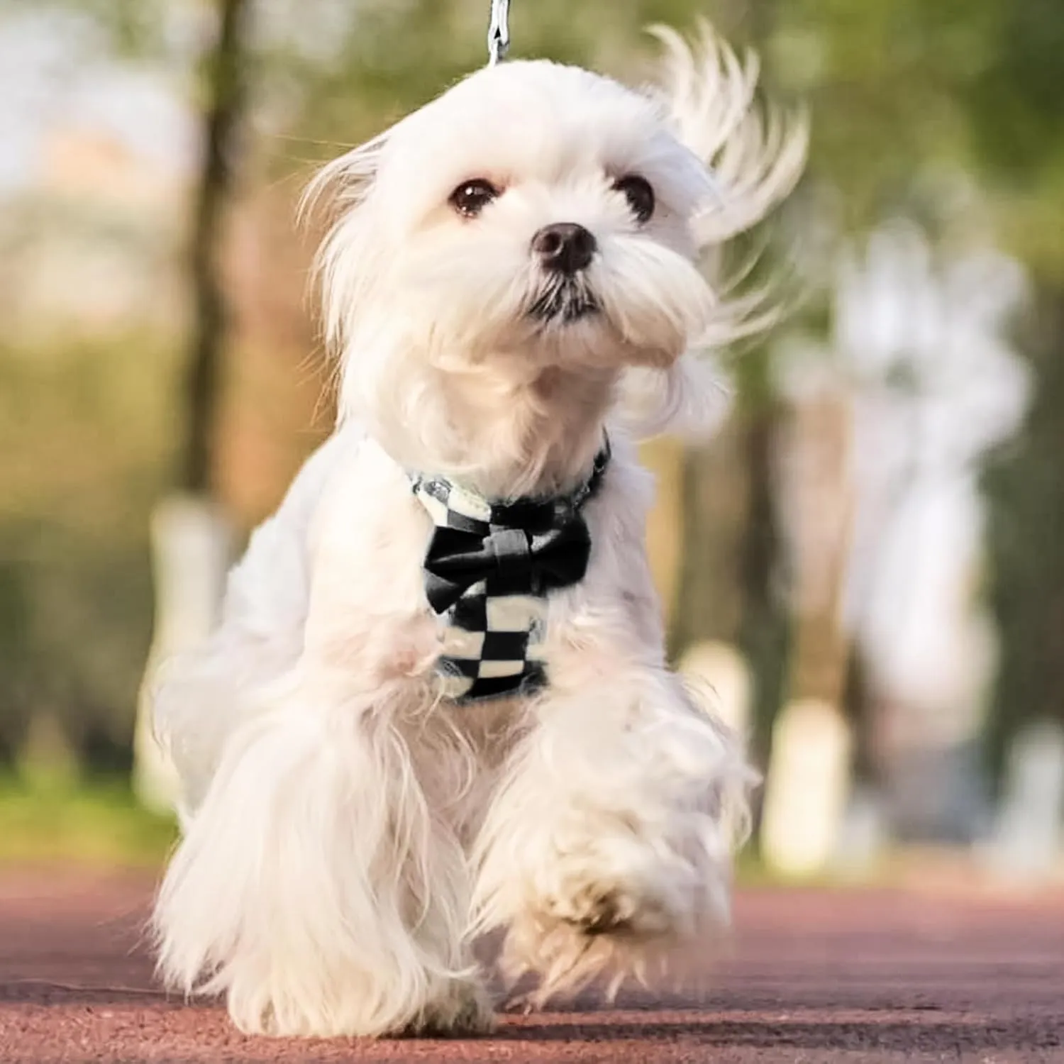 PUPTECK Dog Harness and Leash Set Small Sized, Step-in Cute Puppy Harness, Soft Lightweight Padded Vest, Escape Proof No Pull Pet Harnesses Easy for Walking, Plaid Black & White, S