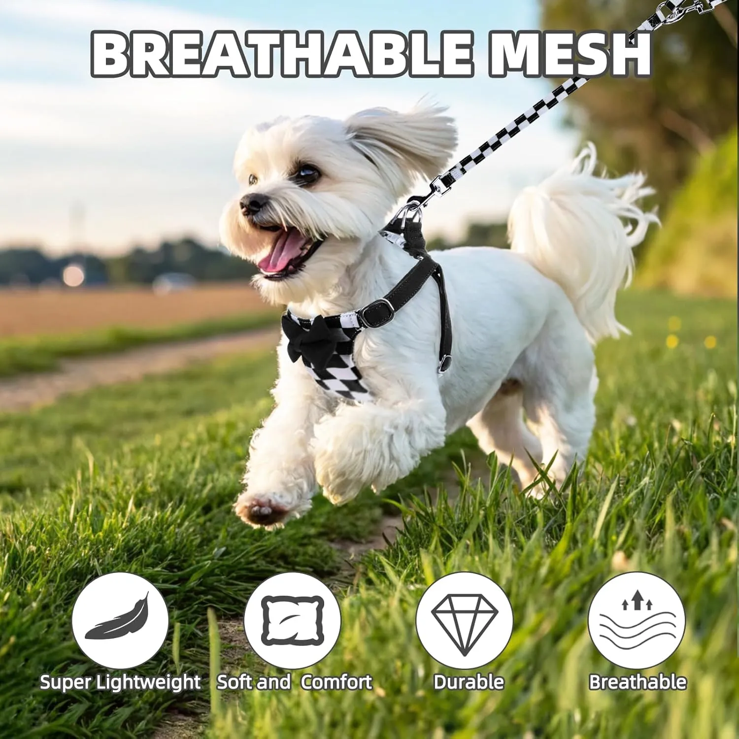 PUPTECK Dog Harness and Leash Set Small Sized, Step-in Cute Puppy Harness, Soft Lightweight Padded Vest, Escape Proof No Pull Pet Harnesses Easy for Walking, Plaid Black & White, S