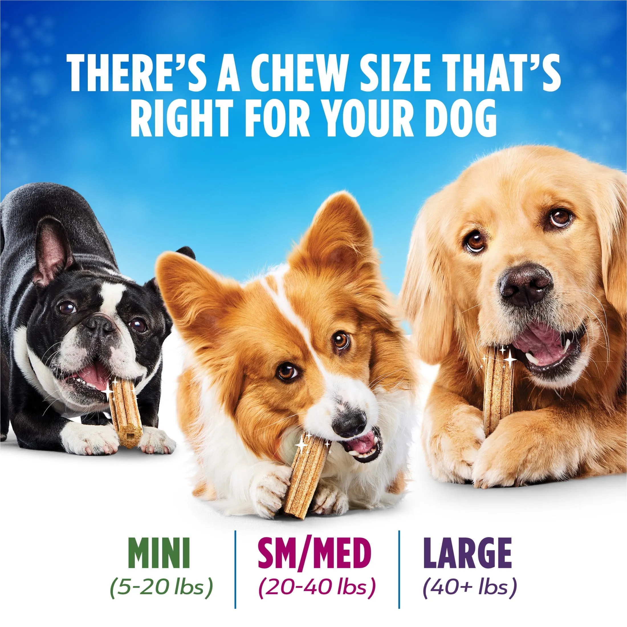 Purina  Daily Oral Care Large Dog Treats Dental Chews with Chicken
