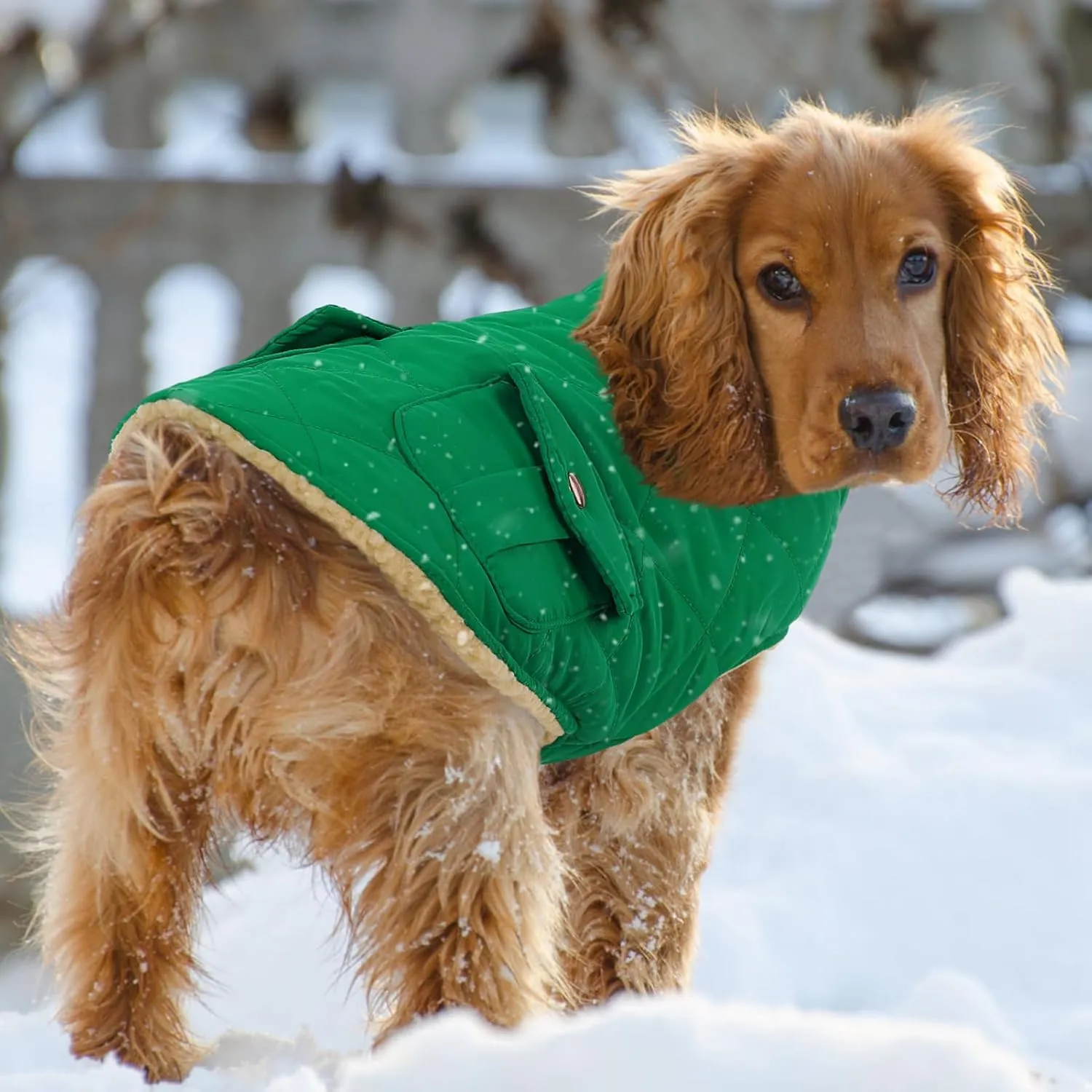 Queenmore Warm Puffer Dog Coat Vest, Quilted Winter Jacket with Plush Fleece Lining, Storage Pockets (Forest Green, Small)
