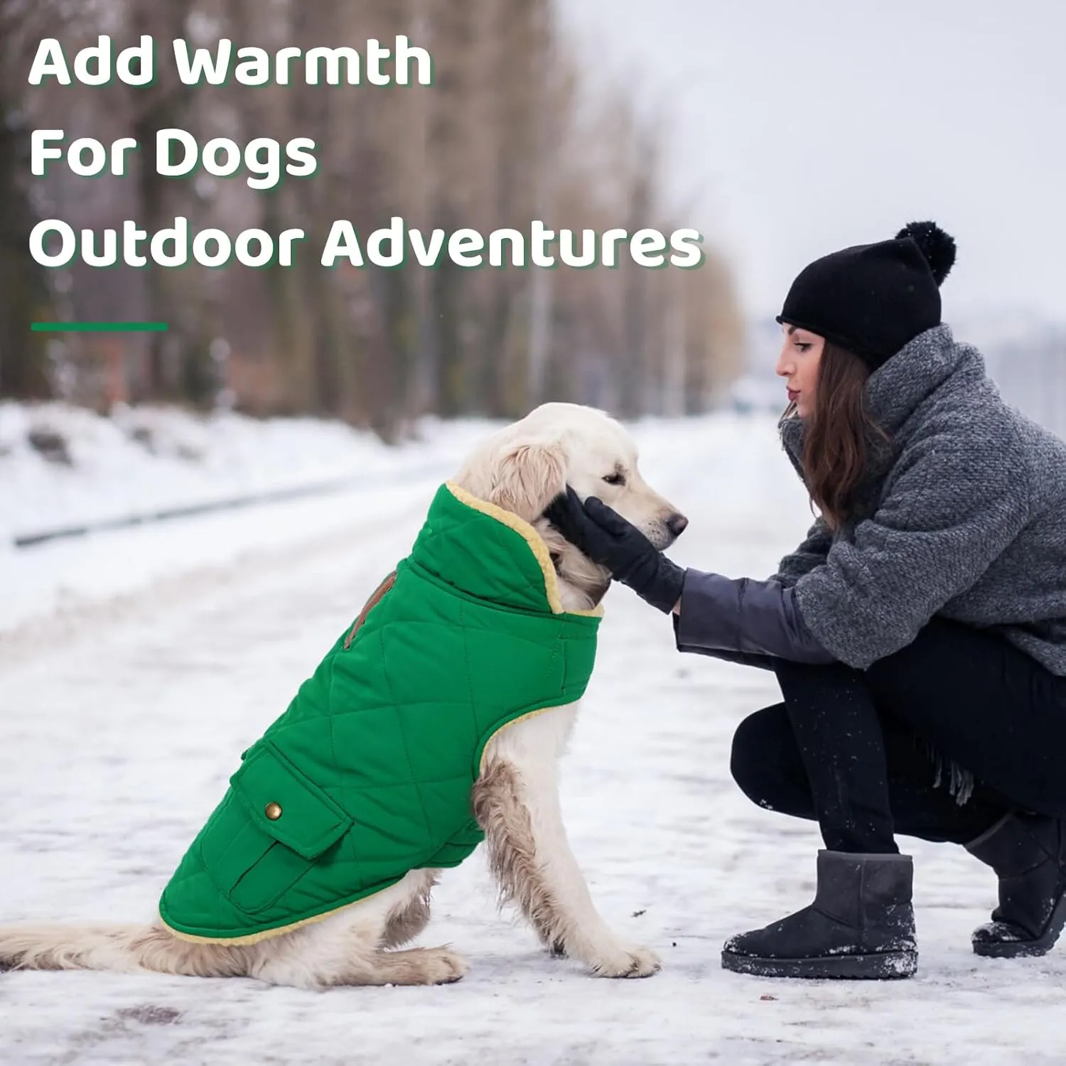 Queenmore Warm Puffer Dog Coat Vest, Quilted Winter Jacket with Plush Fleece Lining, Storage Pockets (Forest Green, Small)