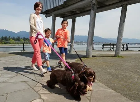 RC Pets Leash All the Buzz 6 foot