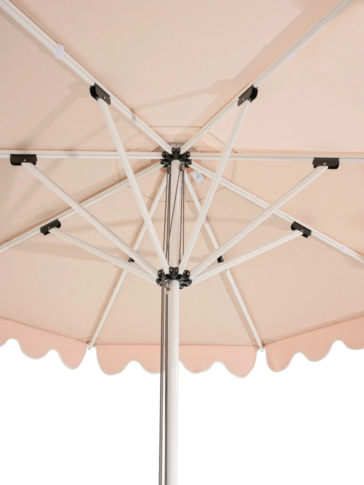 Round Scallop Valance - Champagne