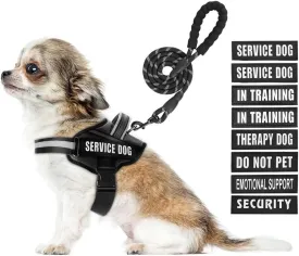 Service Dog ,Animire in Training , 10 ,,(,XS)