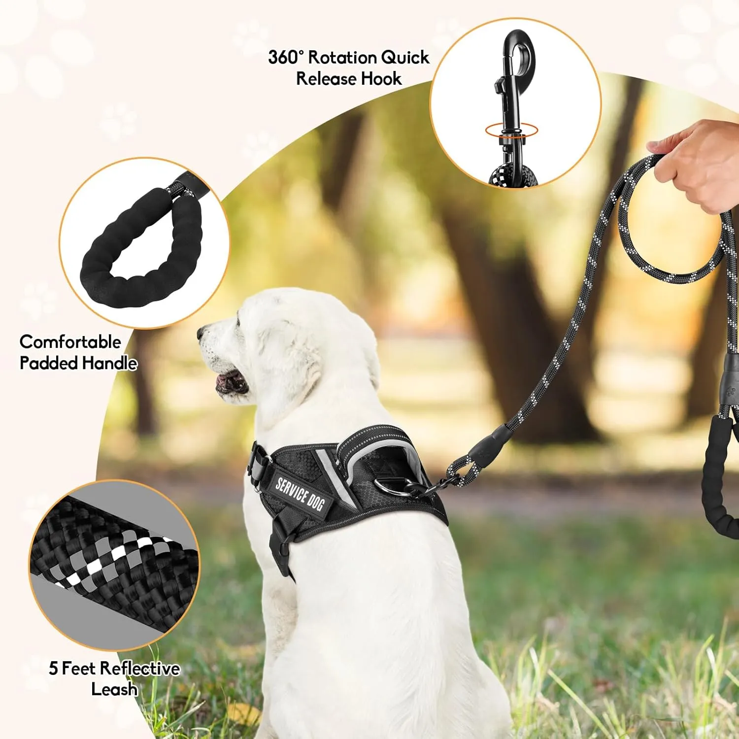 Service Dog ,Animire in Training , 10 ,,(,XS)