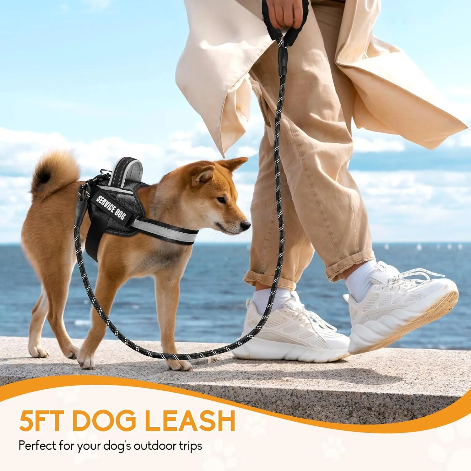 Service Dog ,Animire in Training , 10 ,,(,XS)