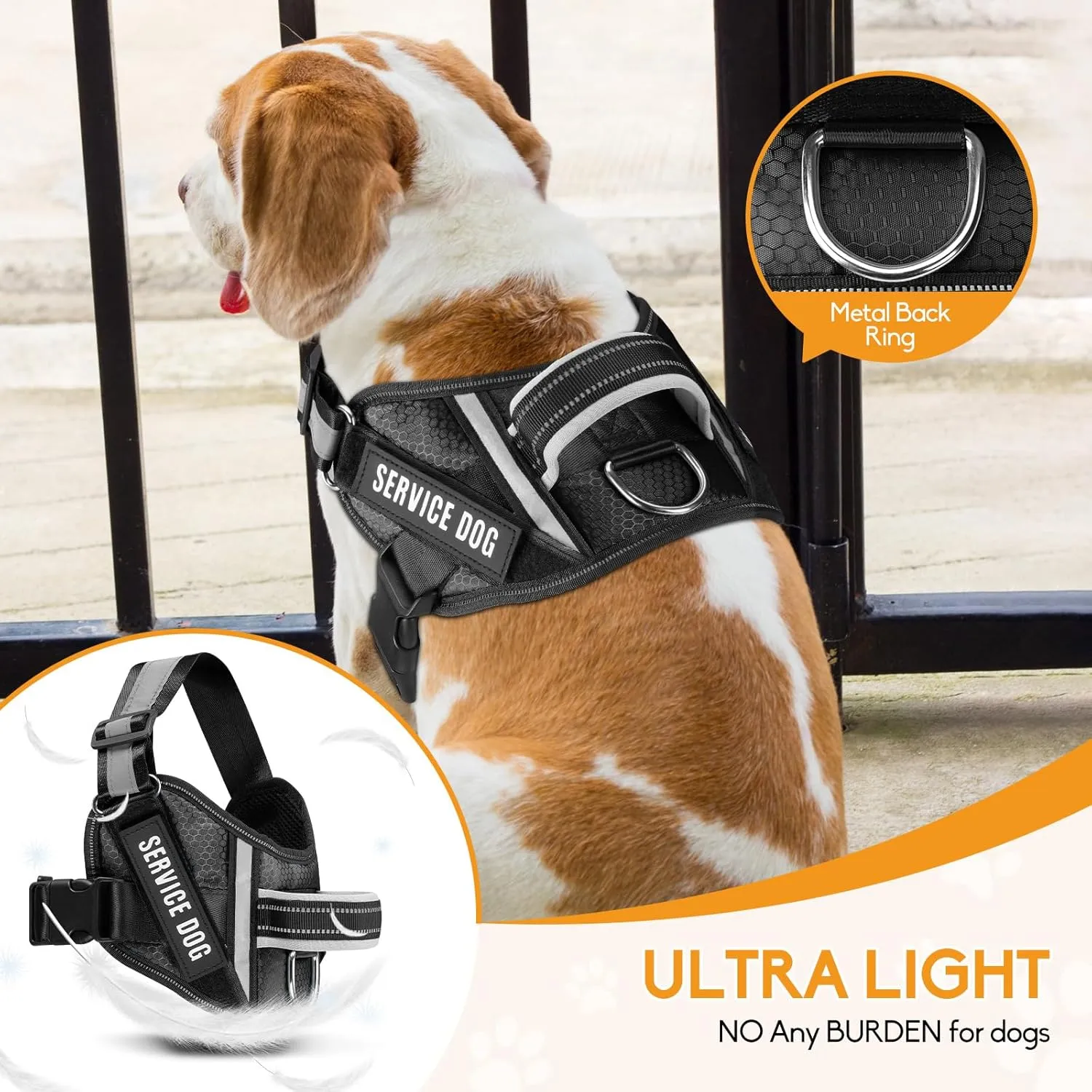Service Dog ,Animire in Training , 10 ,,(,XS)