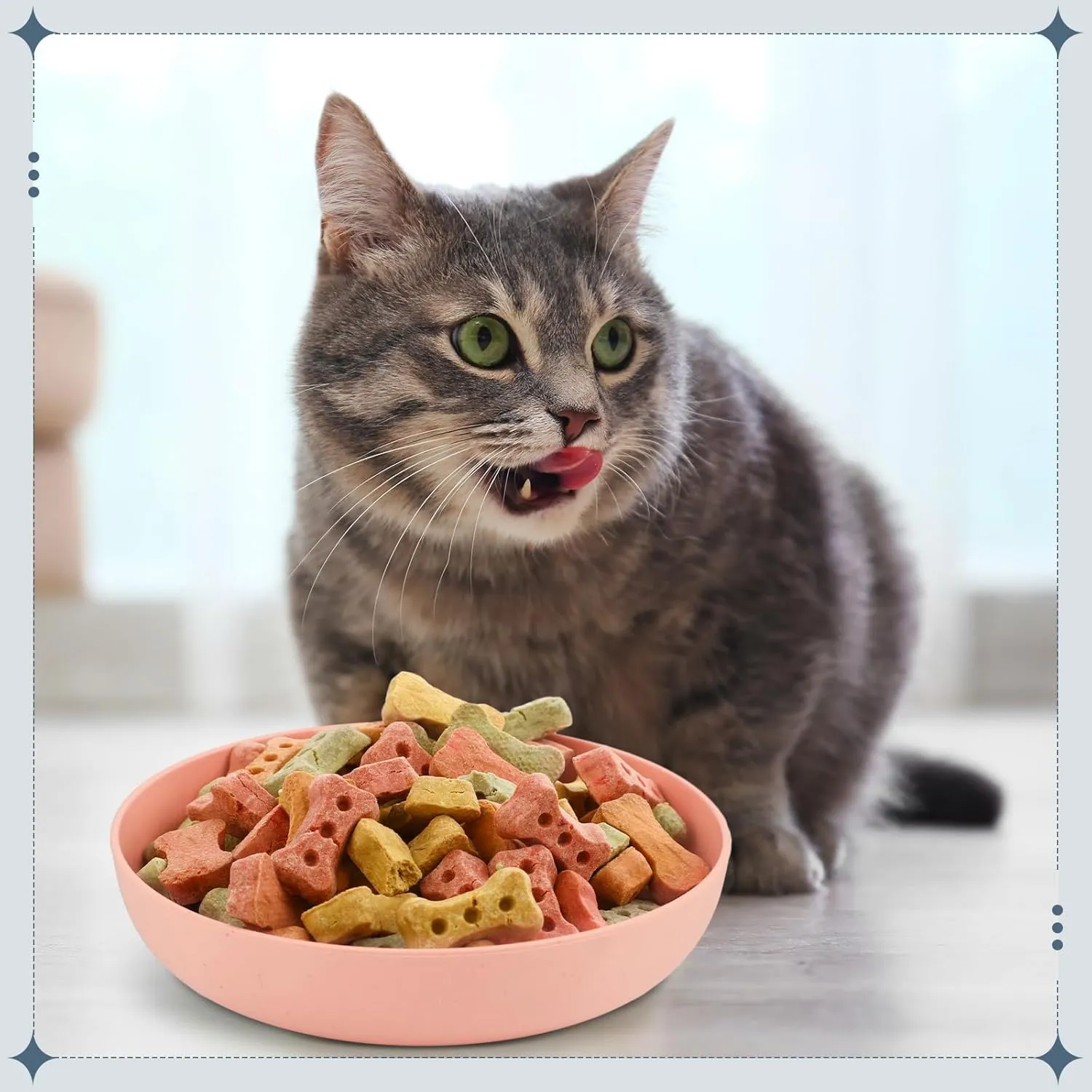 Tioncy 24 Pieces Fatigue Relief Cat Bowl Shallow Cat Food Dish Wide and Small Plate Wide Stray Wet Feeding Bowl for Ferrets Feral Short Legged Kitten, 5.5 Inch Wheat Straw(Four Color,Classic)