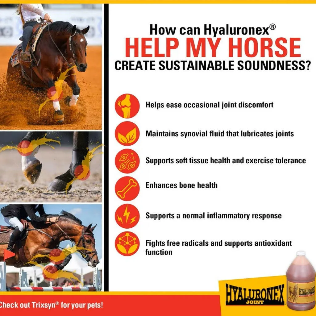 Vitalize Hyaluronex Joint Support Liquid Support for Horses
